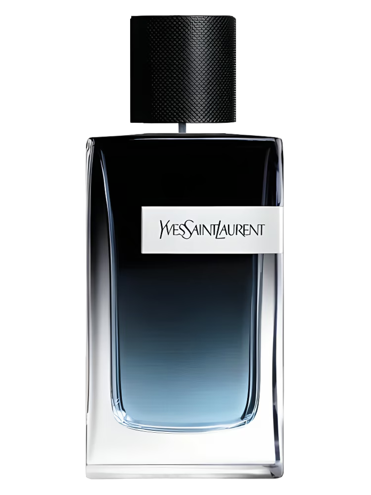 YSL Y EDP Decants